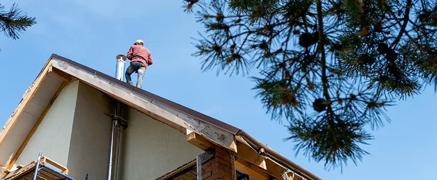 Birds Removal Contractors from Chimney in Rutland, VT